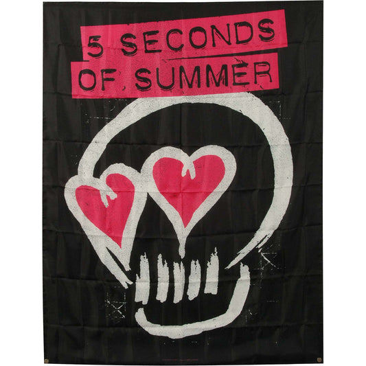 5 Seconds Of Summer Skull Love Poster Flag