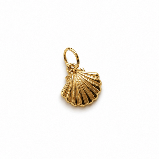 Charm - Shell