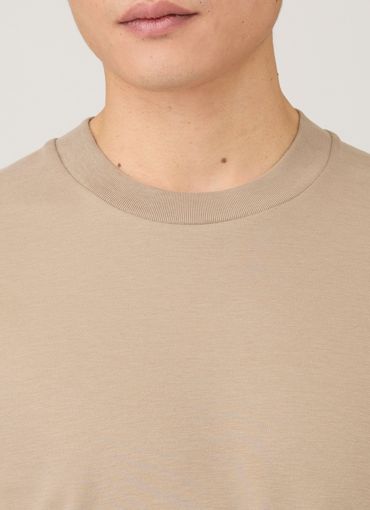 Mens Relaxed Fit Heavyweight Tshirt In Mink Mtsh0181 Brgb