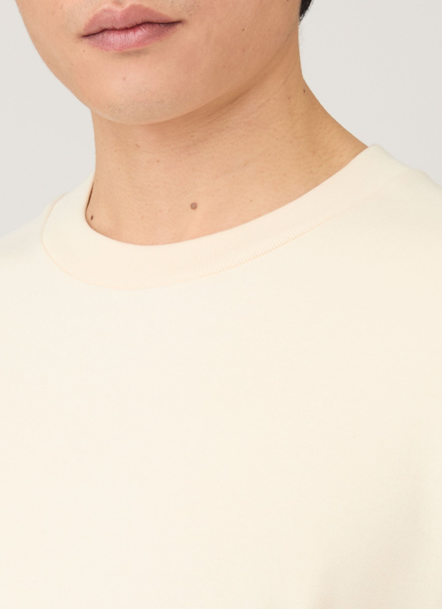 Mens Long Sleeve Heavyweight Tshirt In Undyed Mtsh0182 Nuab